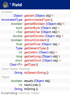 java.lang.reflect.Field