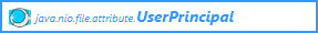 java.nio.file.attribute.UserPrincipal